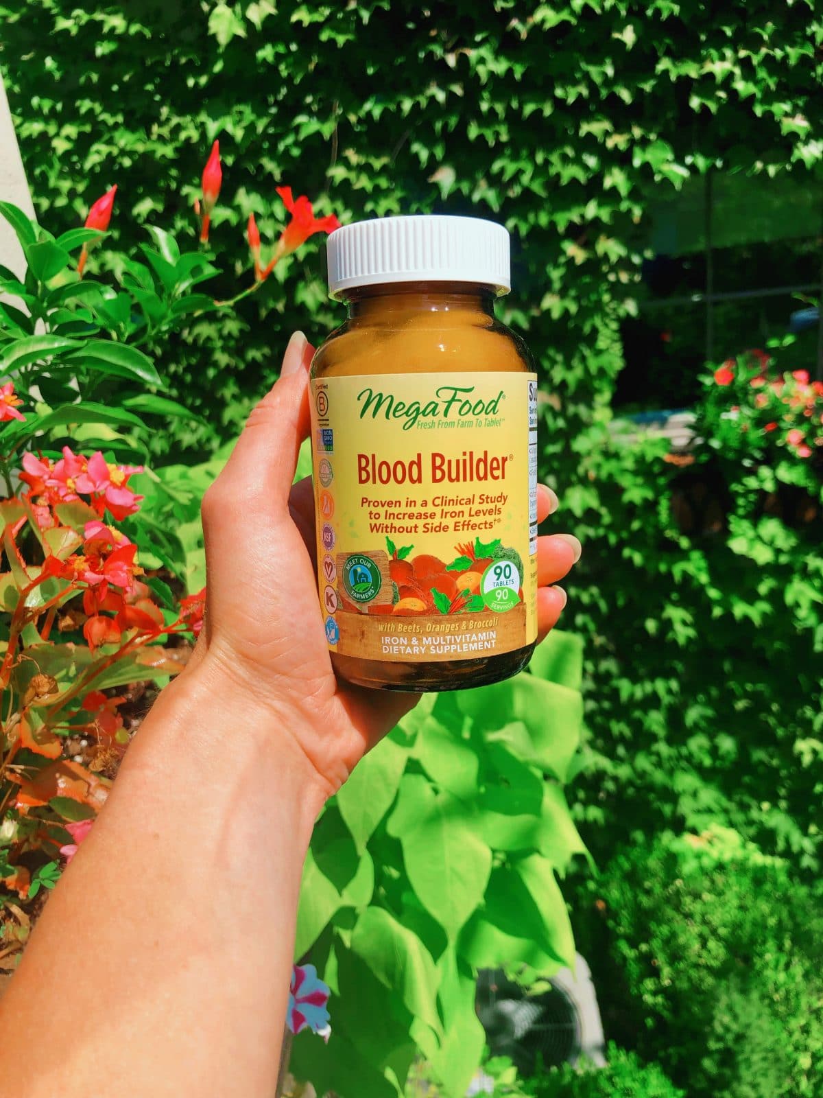 The Danger of Low Iron in Runners During Summer The Mother Runners