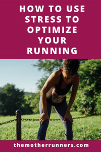 how to use stress to optimize your training