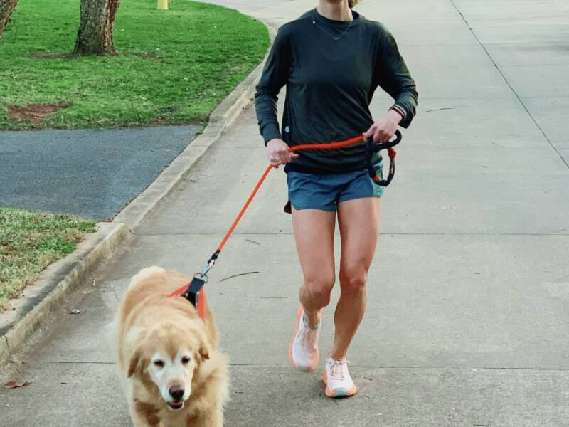 train your dog to run with you