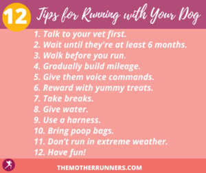 12 tips for running with your dog