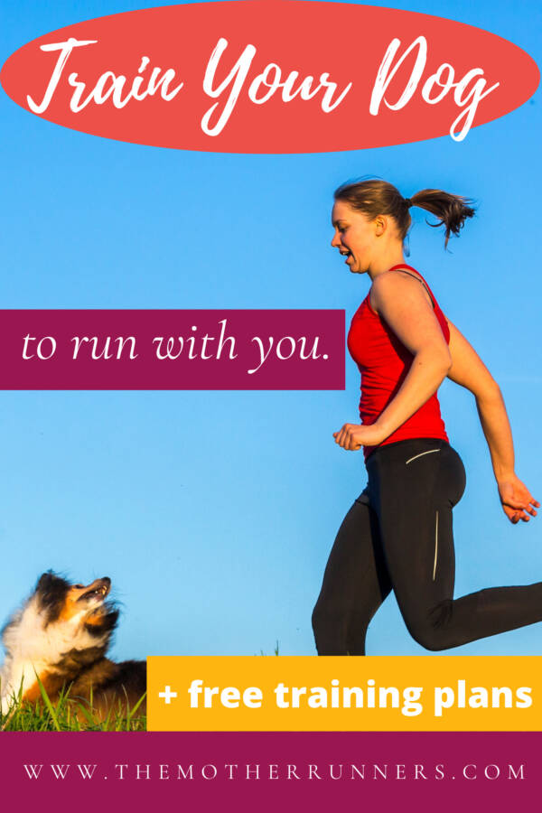 Expert Tips How to Run with Your Dog The Mother Runners