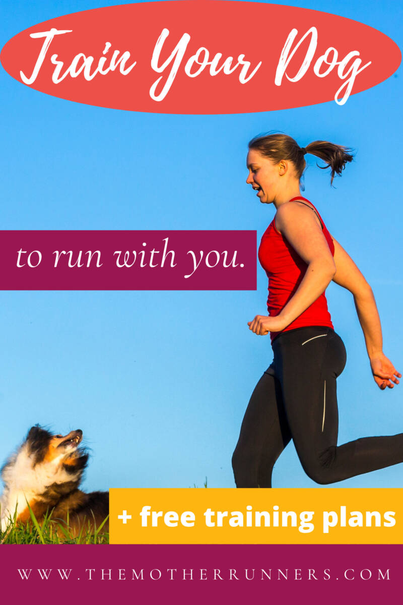 Expert Tips How to Run with Your Dog The Mother Runners