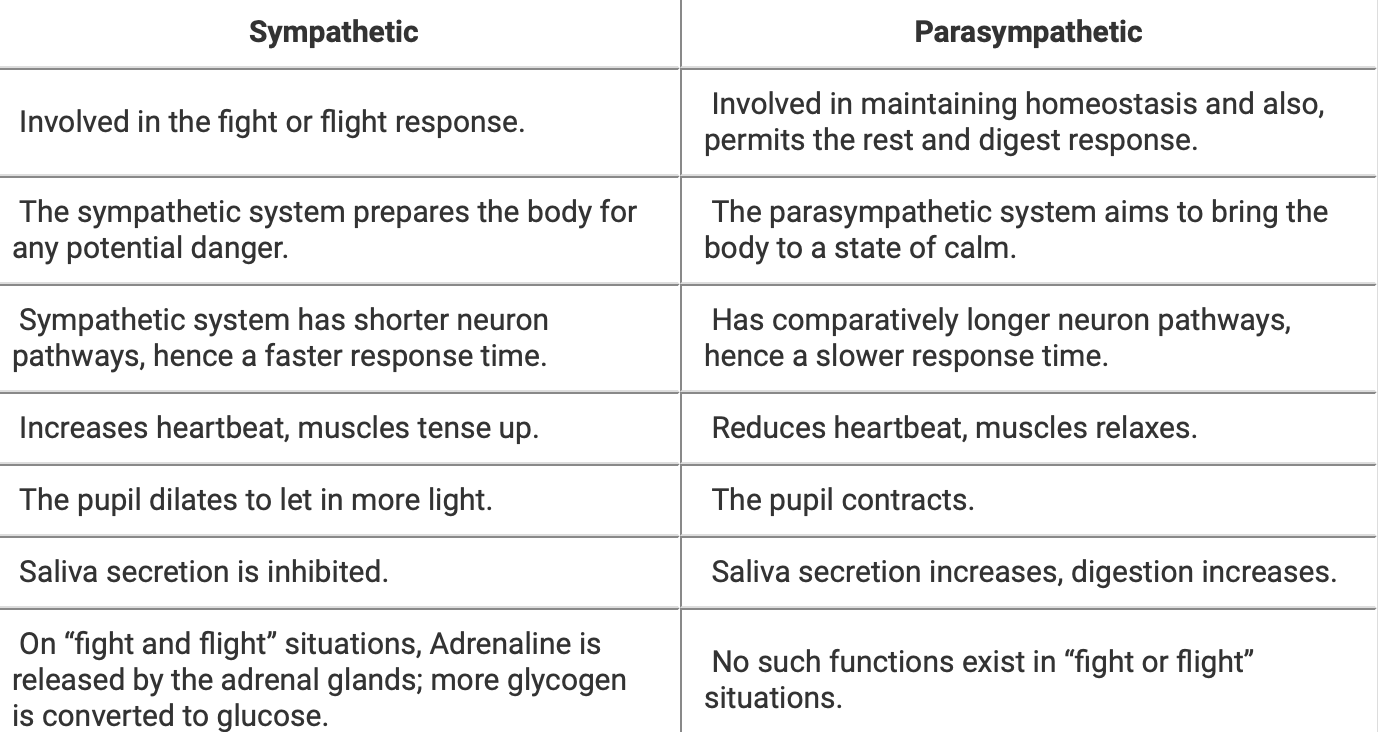 Running with an Elevated Heart Rate After COVID The Mother Runners