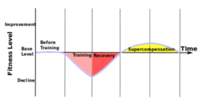 supercompensation curve