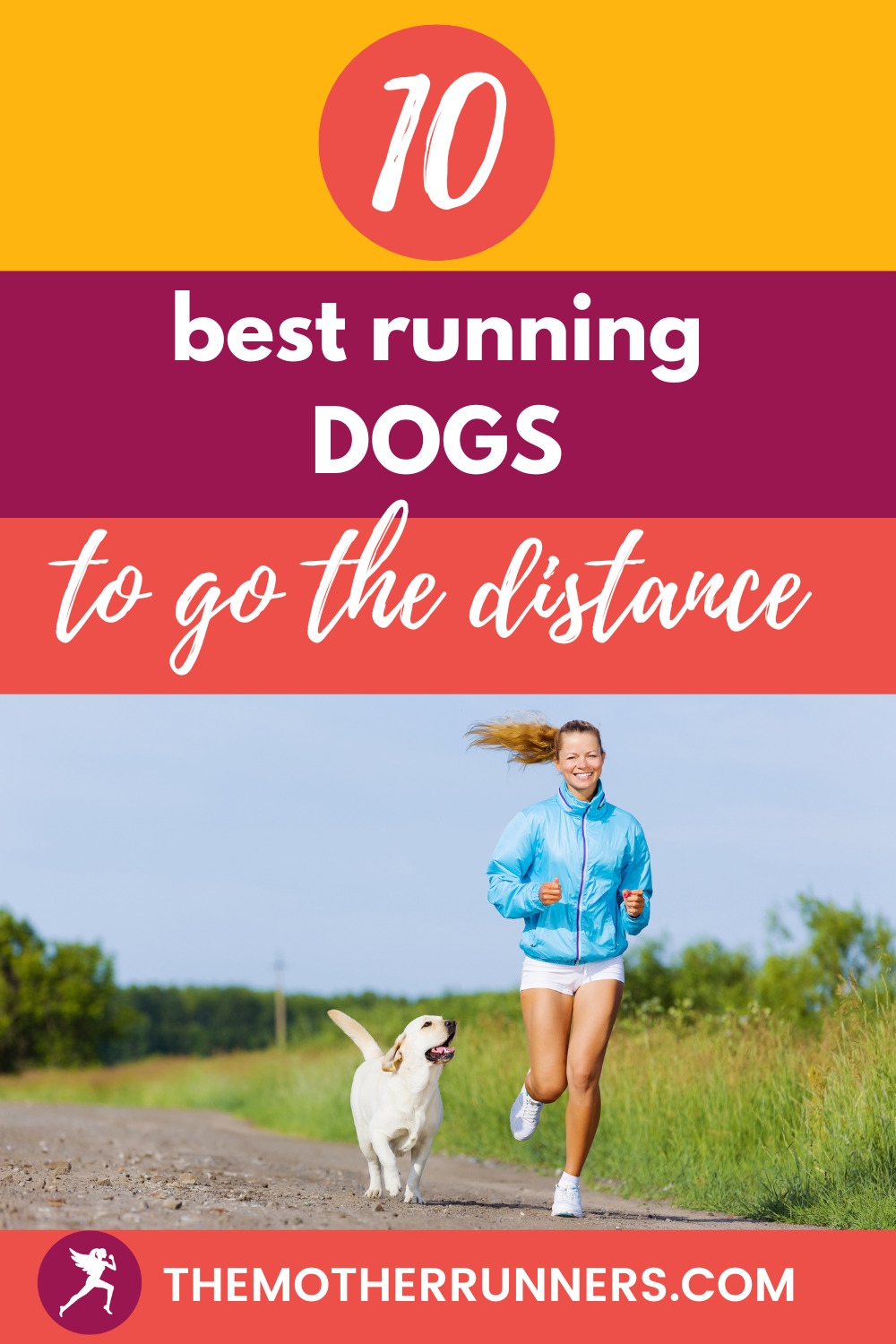 Top 10 Best Running Dog Breeds The Mother Runners