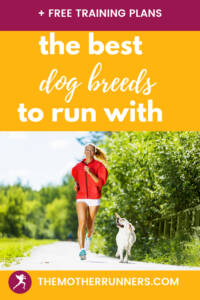 best dog breeds for running