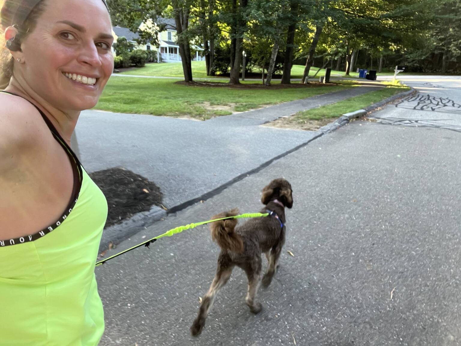 Top 10 Best Running Dog Breeds The Mother Runners