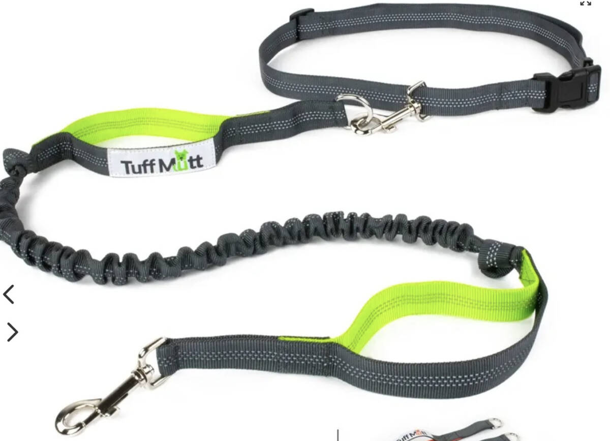 7 Best Hands Free Dog Leashes for Runners The Mother Runners