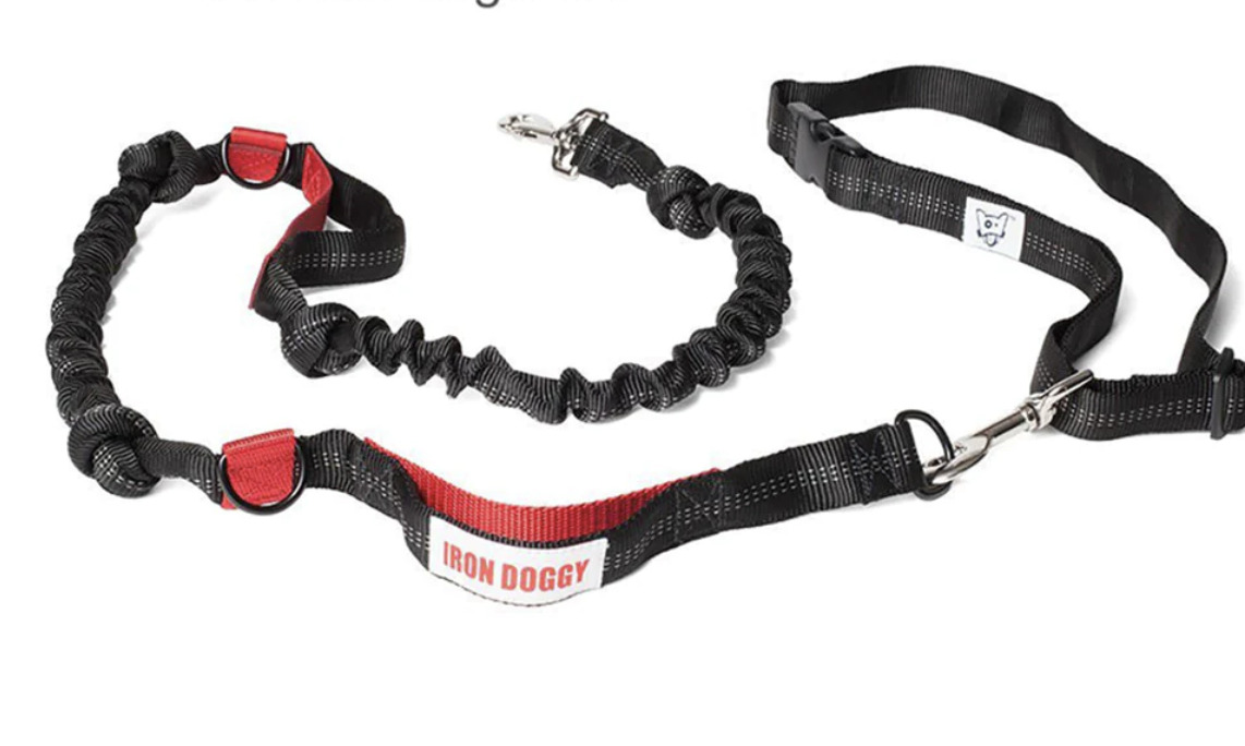 7 Best Hands Free Dog Leashes for Runners The Mother Runners