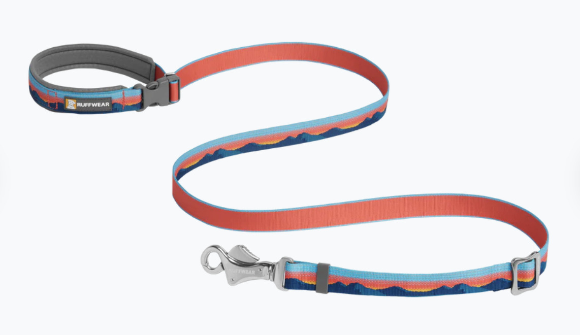 7 Best Hands Free Dog Leashes for Runners The Mother Runners