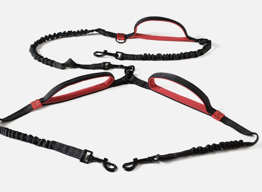 7 Best Hands Free Dog Leashes for Runners The Mother Runners